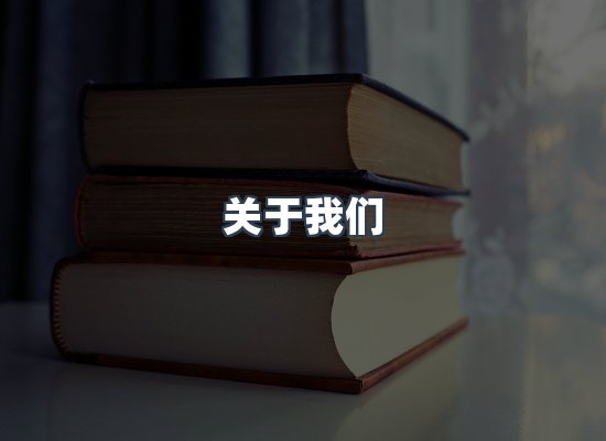 专业团队